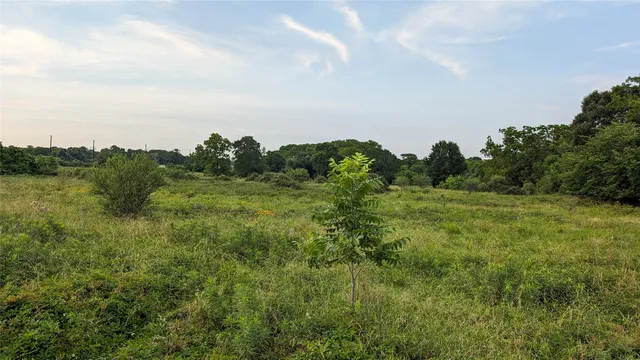 a view of a green field with lots of bushes