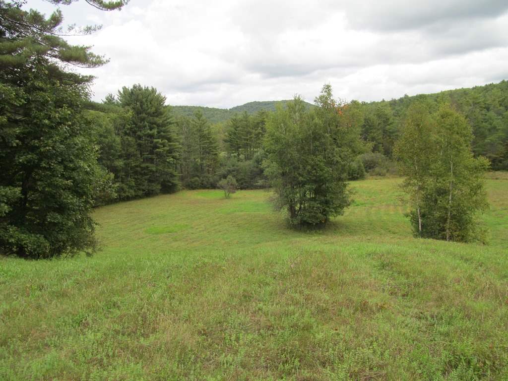 South Parsonage Road Cornish, NH 03745 - Photo 1 of 18