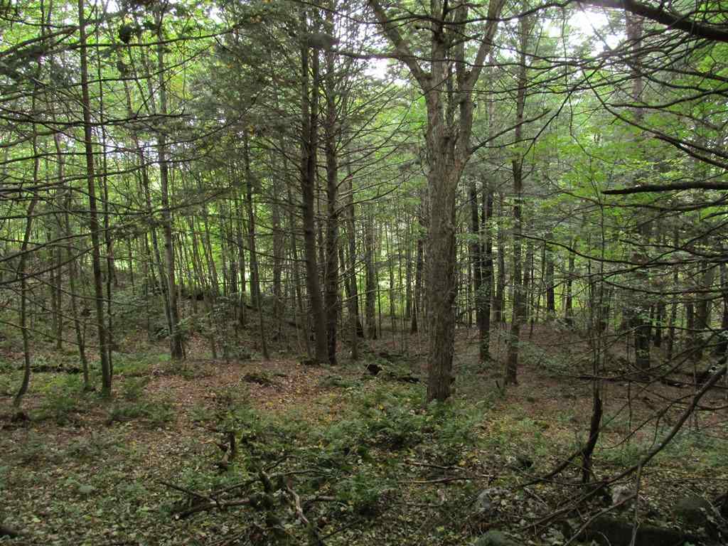 South Parsonage Road Cornish, NH 03745 - Photo 12 of 18