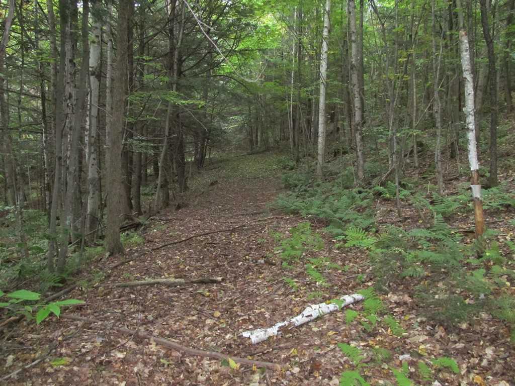 South Parsonage Road Cornish, NH 03745 - Photo 13 of 18