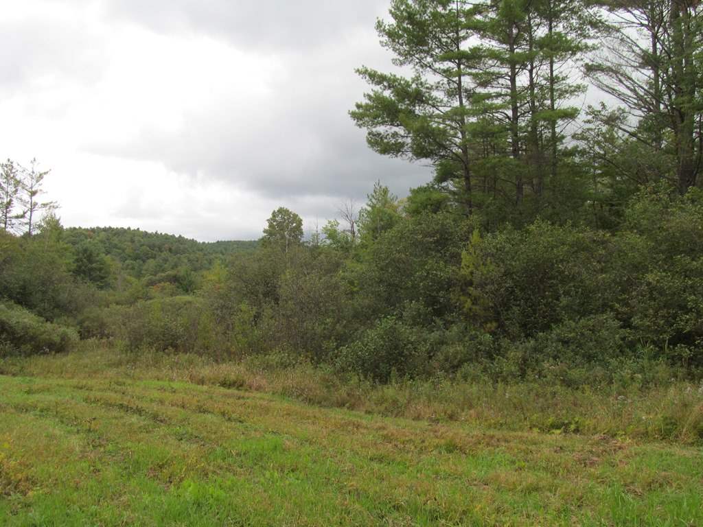 South Parsonage Road Cornish, NH 03745 - Photo 17 of 18