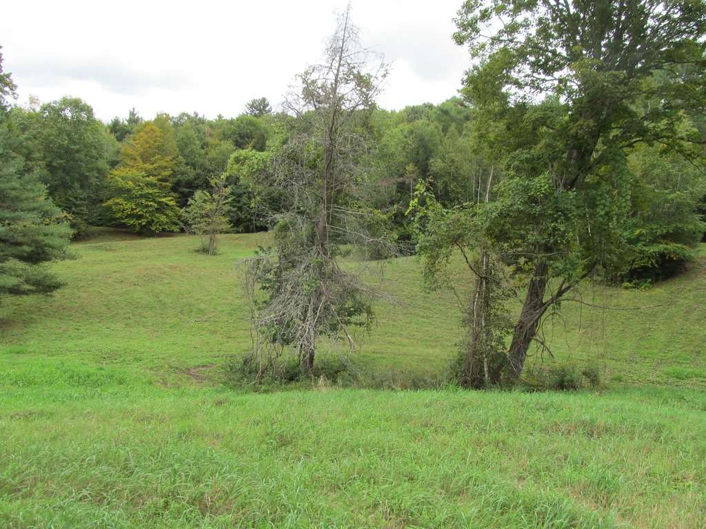 South Parsonage Road Cornish, NH 03745 - Photo 4 of 18