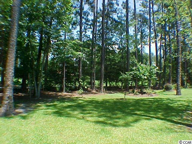 2135 Timmerman Road Myrtle Beach, SC 29588 - Photo 19 of 25 Gallery Image 19