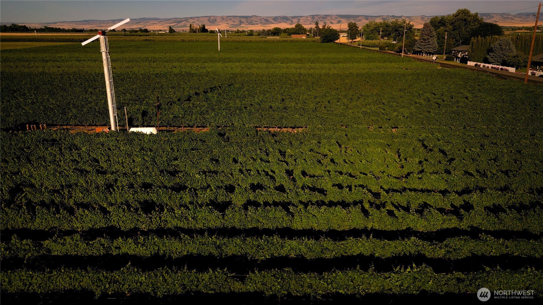 0 Pleasant View Road Milton Freewater, OR 97862 - Photo 4 of 10