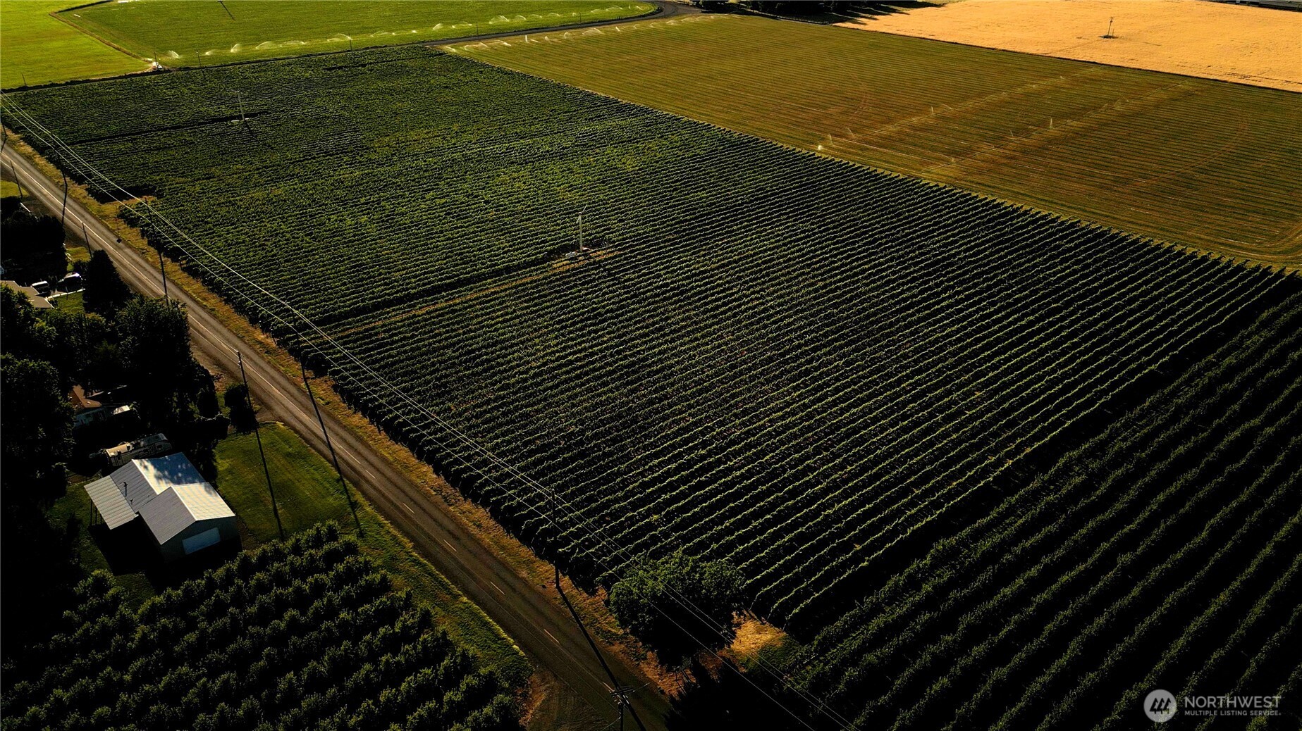 0 Pleasant View Road Milton Freewater, OR 97862 - Photo 5 of 10