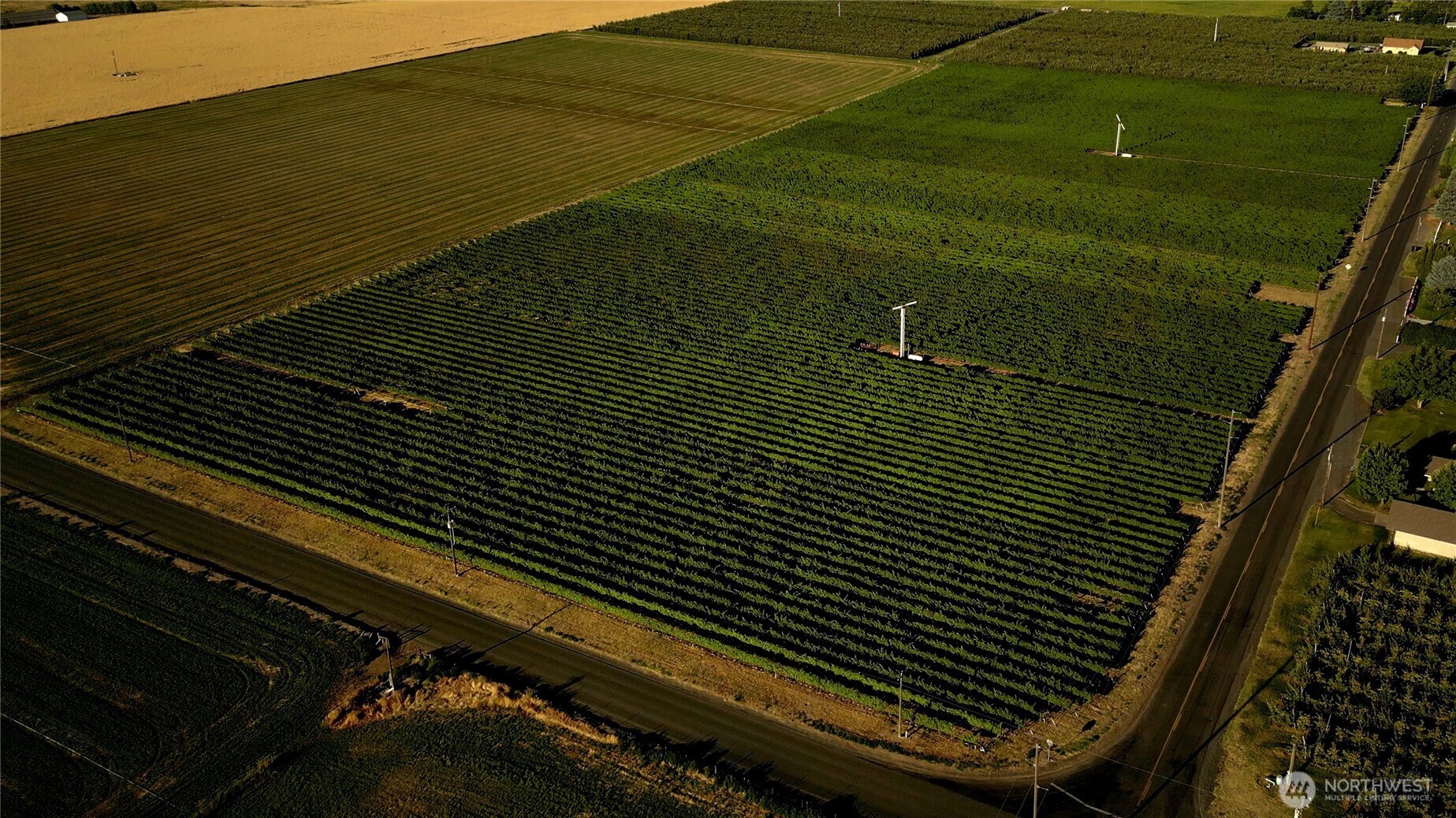 0 Pleasant View Road Milton Freewater, OR 97862 - Photo 6 of 10