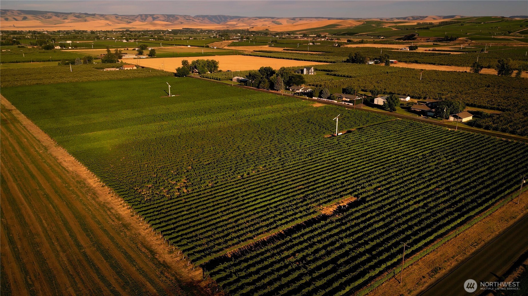0 Pleasant View Road Milton Freewater, OR 97862 - Photo 8 of 10