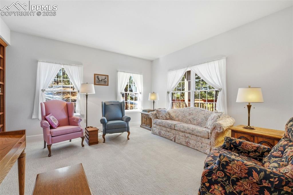 8795 Moss Rock Road Colorado Springs, CO 80908 - Photo 18 of 47 Light-filled Living Room