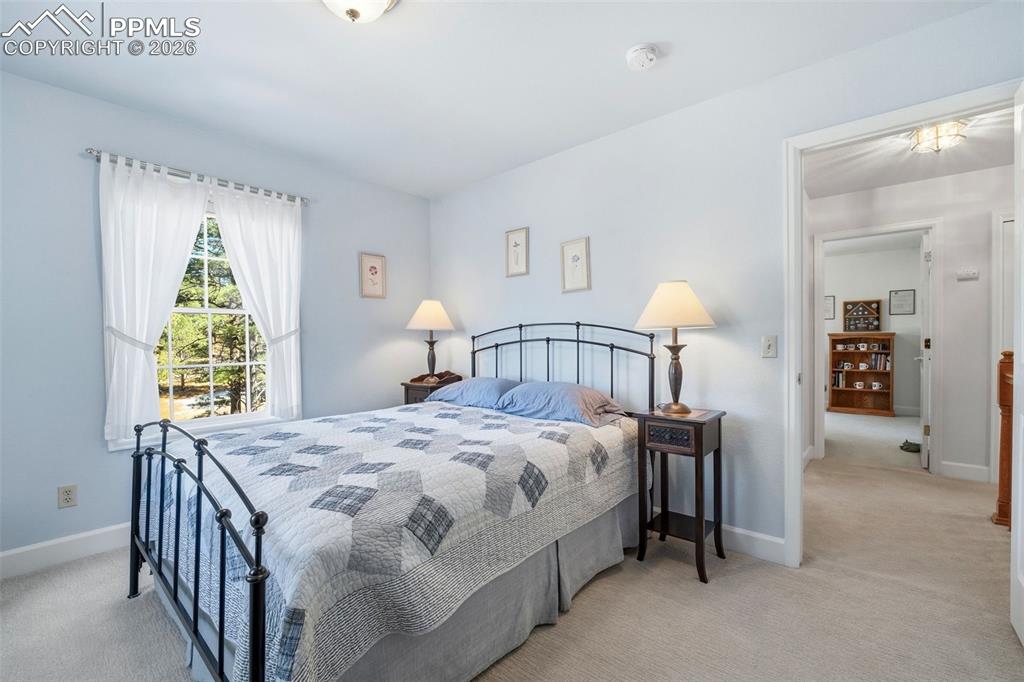 8795 Moss Rock Road Colorado Springs, CO 80908 - Photo 31 of 47 Fourth Bedroom