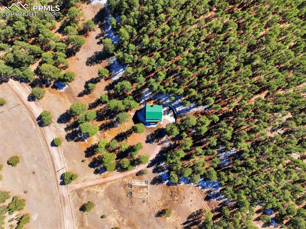 8795 Moss Rock Road Colorado Springs, CO 80908 - Photo 46 of 47 11 Acres!