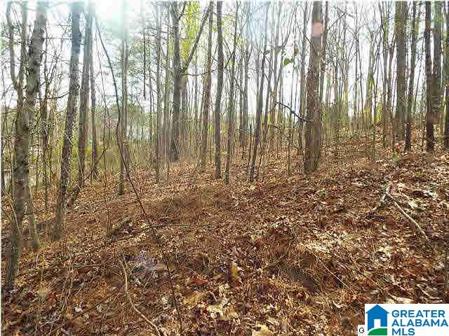1 Ransome Drive, Unit 1 Oneonta, AL 35121 - Photo 2 of 6
