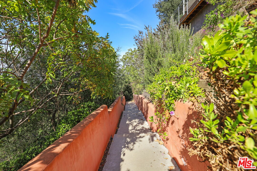 2835 Oak Point Drive Los Angeles, CA 90068 - Photo 46 of 50 a view of a yard with plants and wooden fence