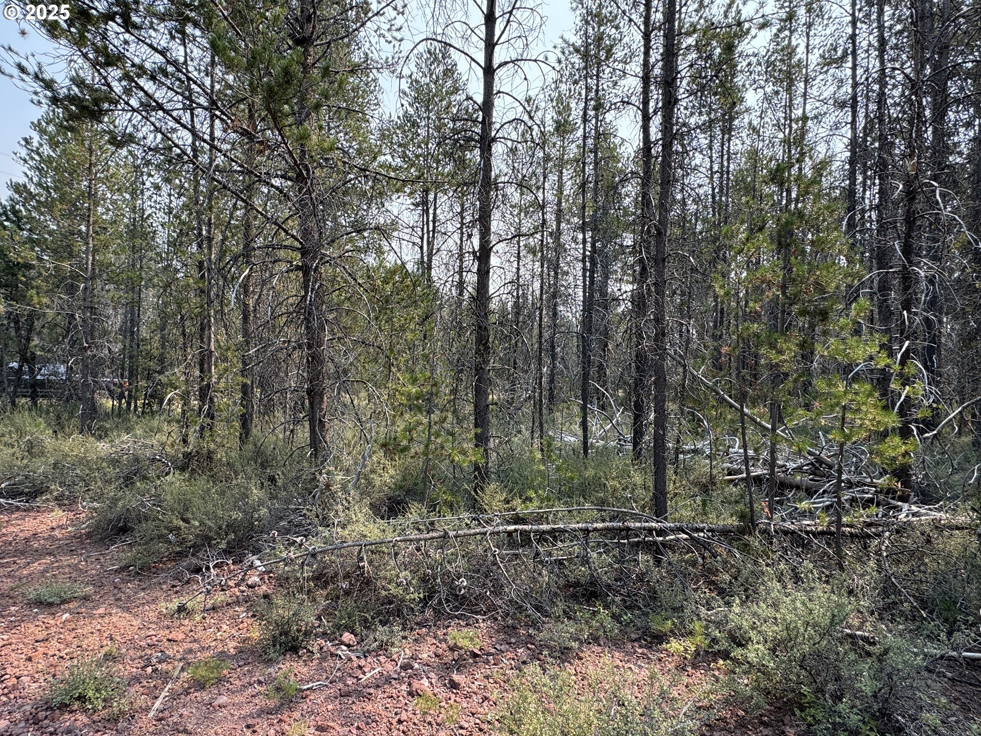 Cloudcap Drive, Unit 1 Chiloquin, OR 97624 - Photo 17 of 23