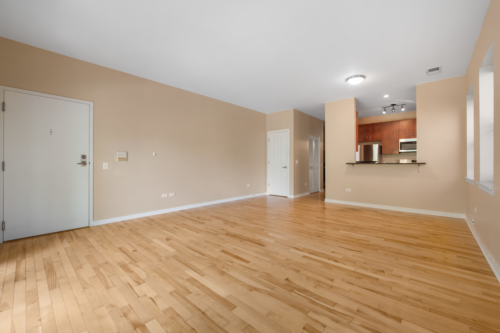 907 South Lytle Street, Unit 201 Chicago, IL 60607 - Photo 4 of 28 a view of a kitchen and a window
