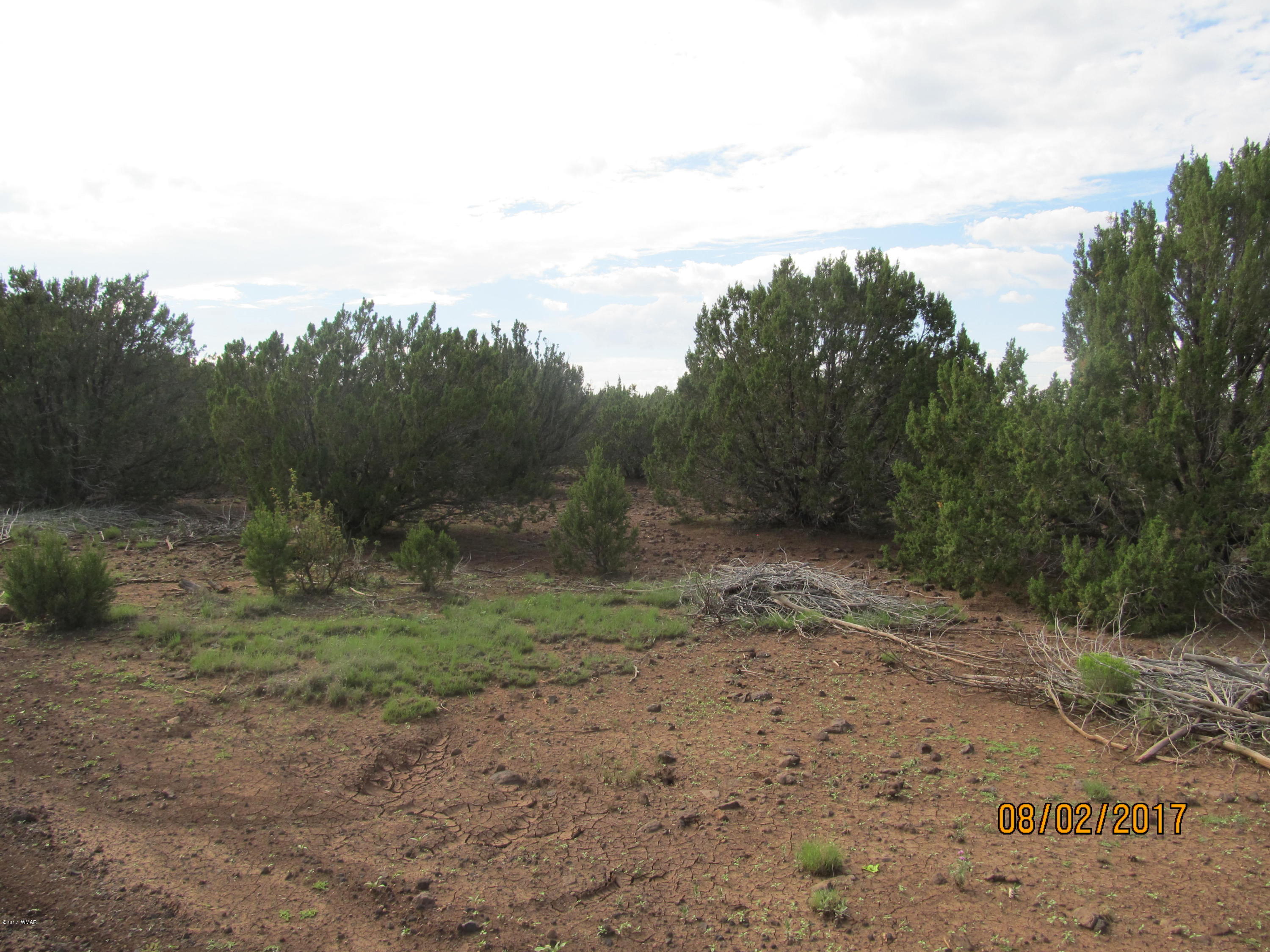 Lot 230 Co Road Vernon, AZ 85940 - Photo 11 of 13