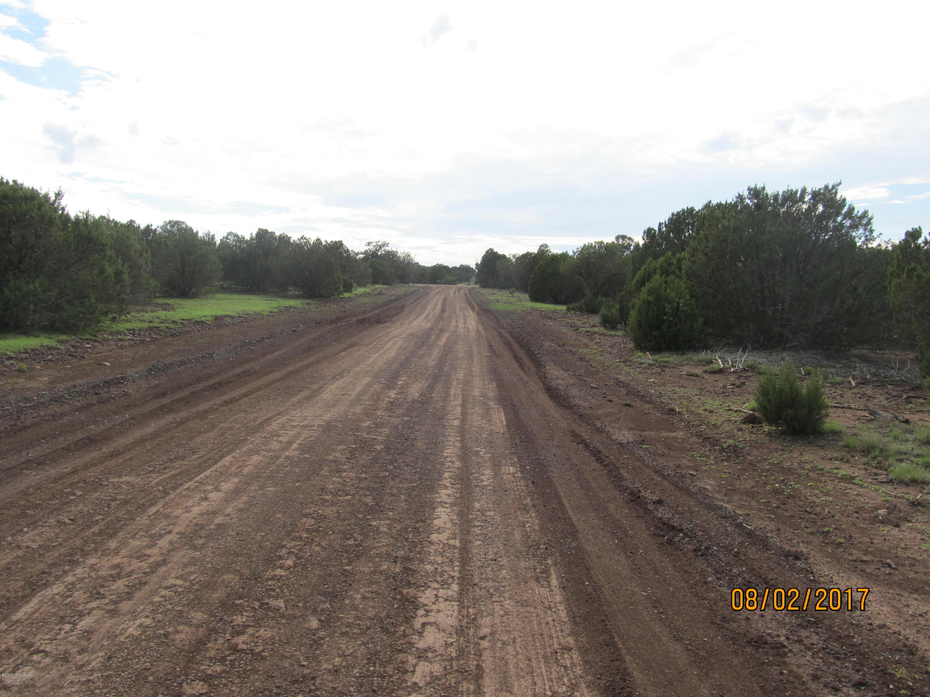 Lot 230 Co Road Vernon, AZ 85940 - Photo 12 of 13