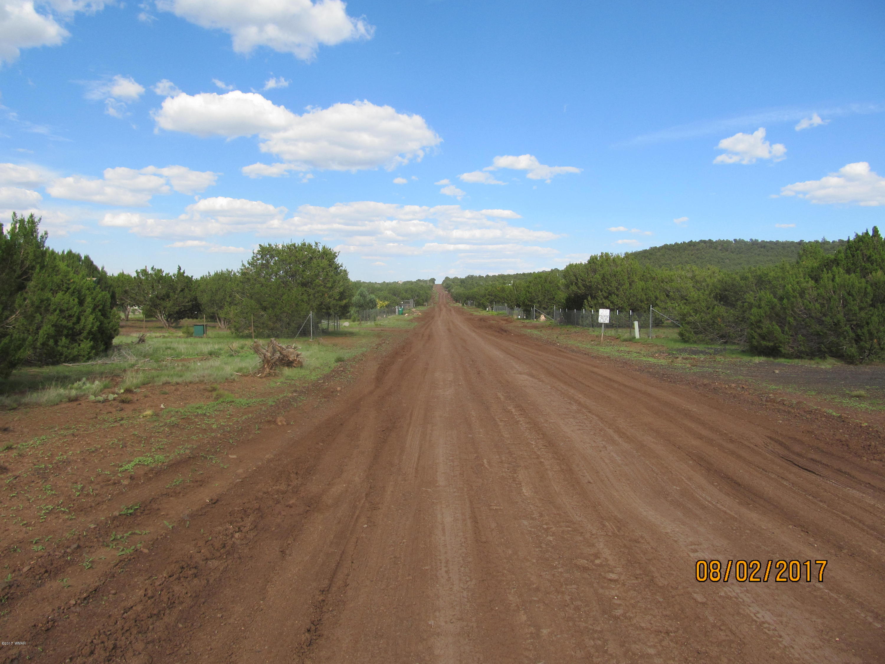 Lot 230 Co Road Vernon, AZ 85940 - Photo 13 of 13