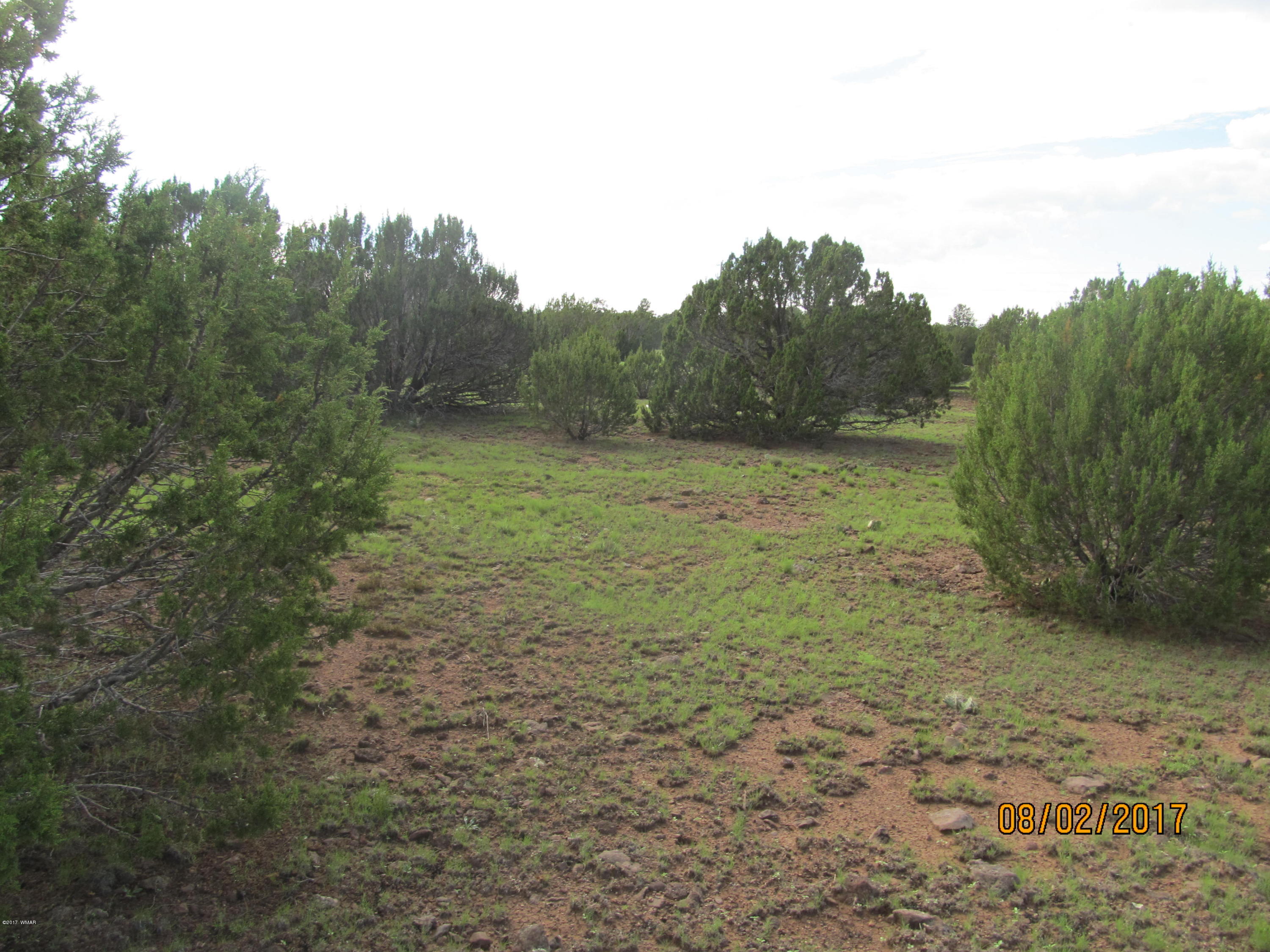 Lot 230 Co Road Vernon, AZ 85940 - Photo 3 of 13