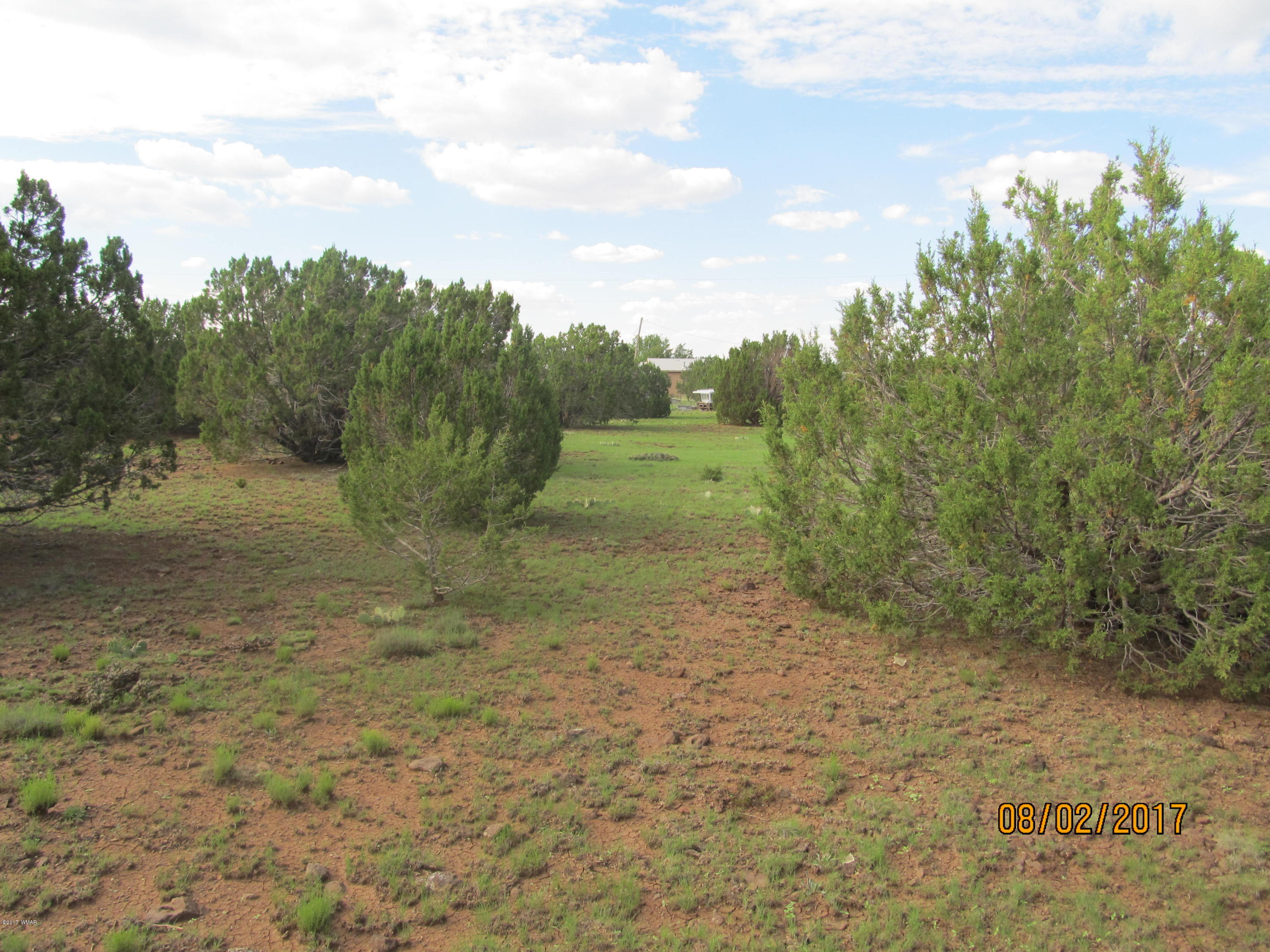 Lot 230 Co Road Vernon, AZ 85940 - Photo 4 of 13