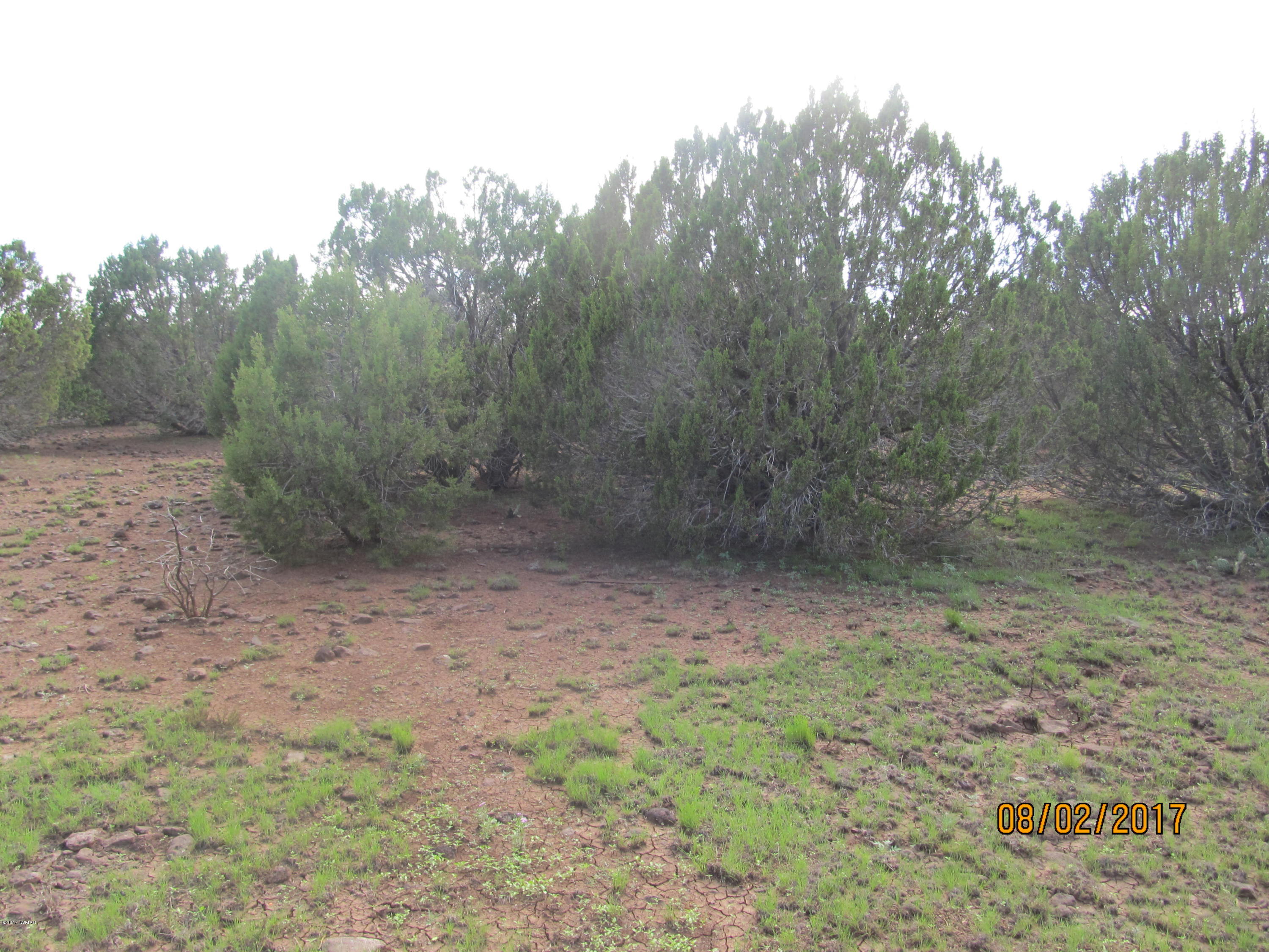 Lot 230 Co Road Vernon, AZ 85940 - Photo 5 of 13