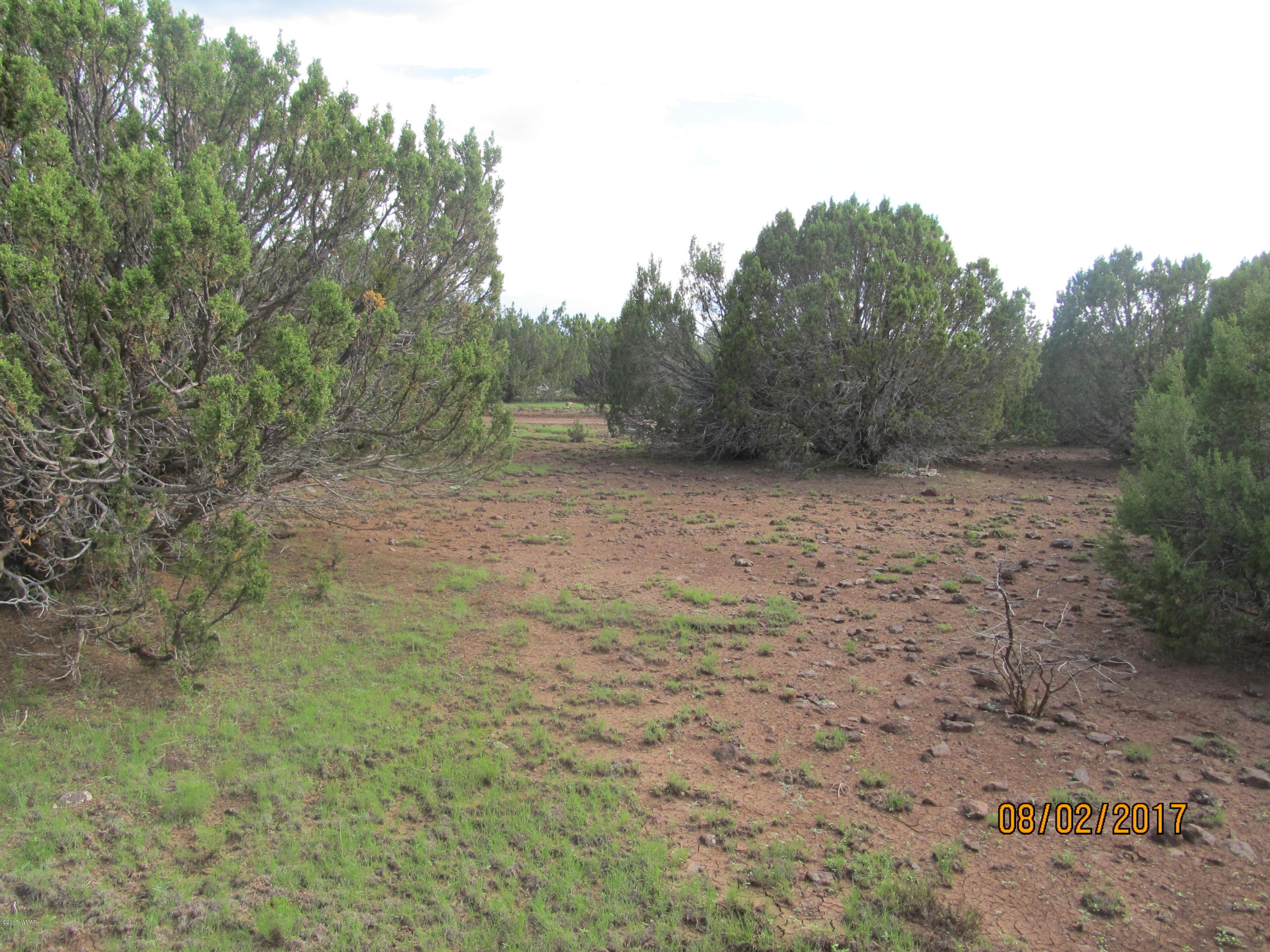 Lot 230 Co Road Vernon, AZ 85940 - Photo 6 of 13