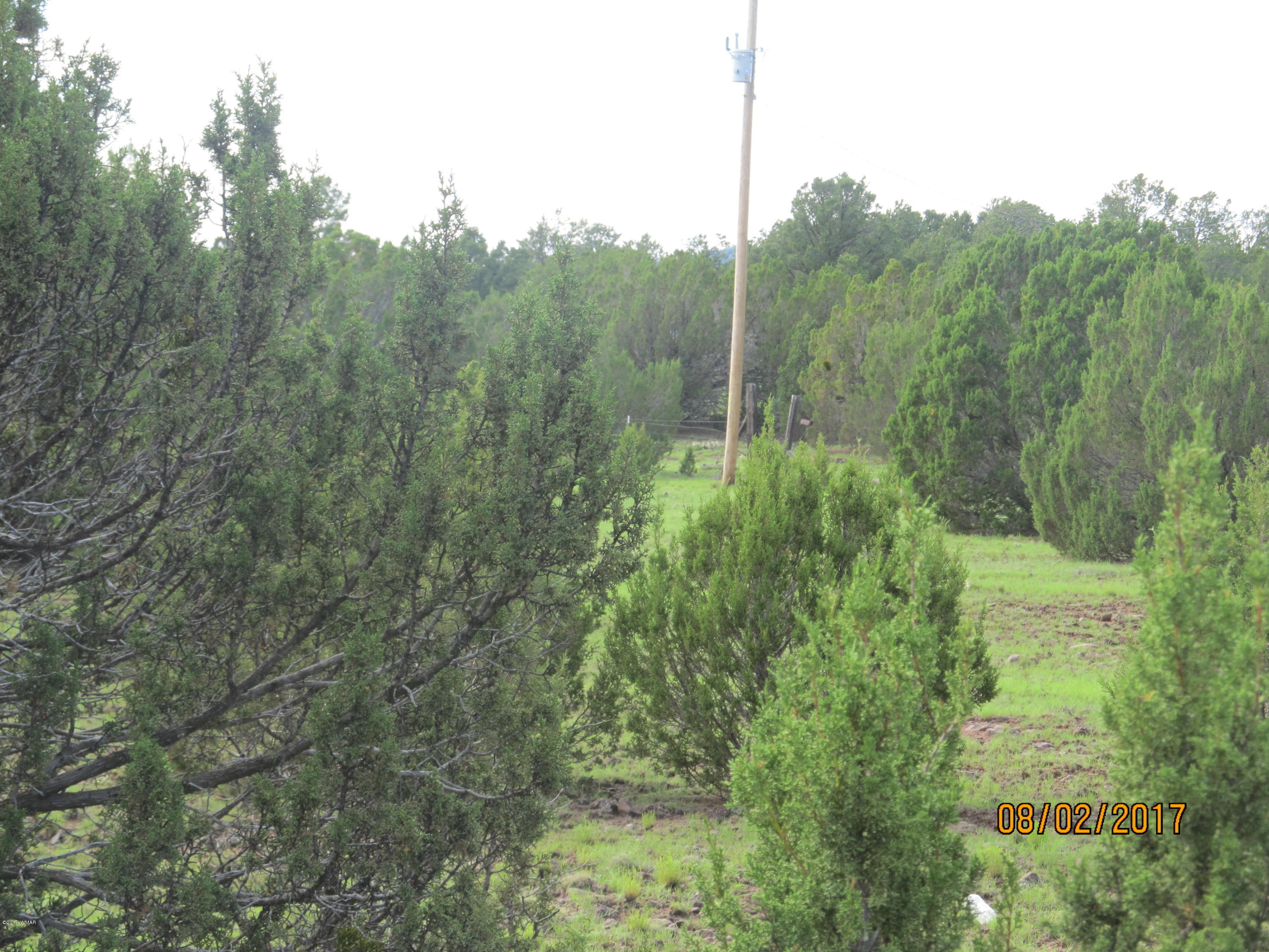 Lot 230 Co Road Vernon, AZ 85940 - Photo 8 of 13