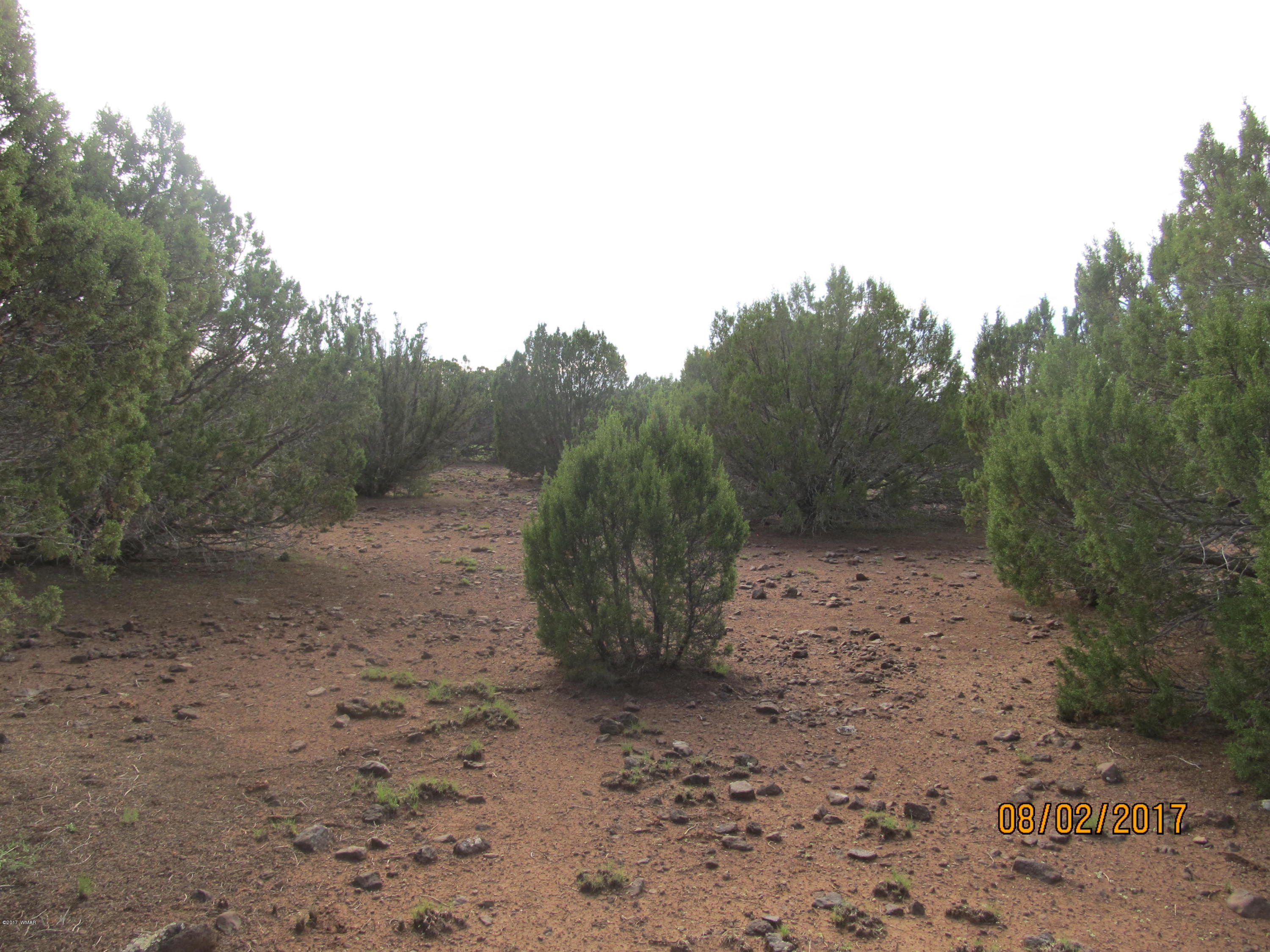 Lot 230 Co Road Vernon, AZ 85940 - Photo 9 of 13