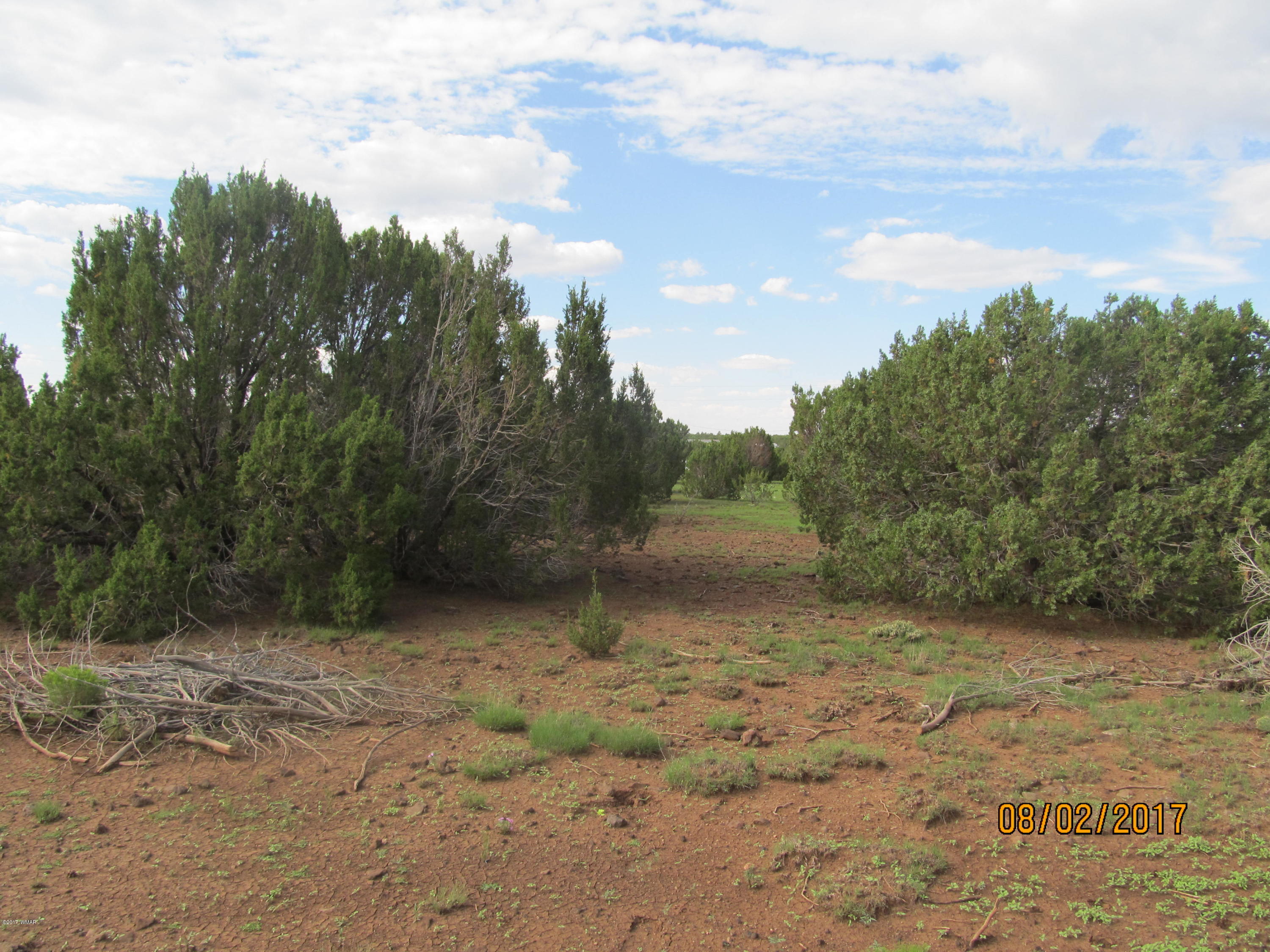 Lot 230 Co Road Vernon, AZ 85940 - Photo 10 of 13