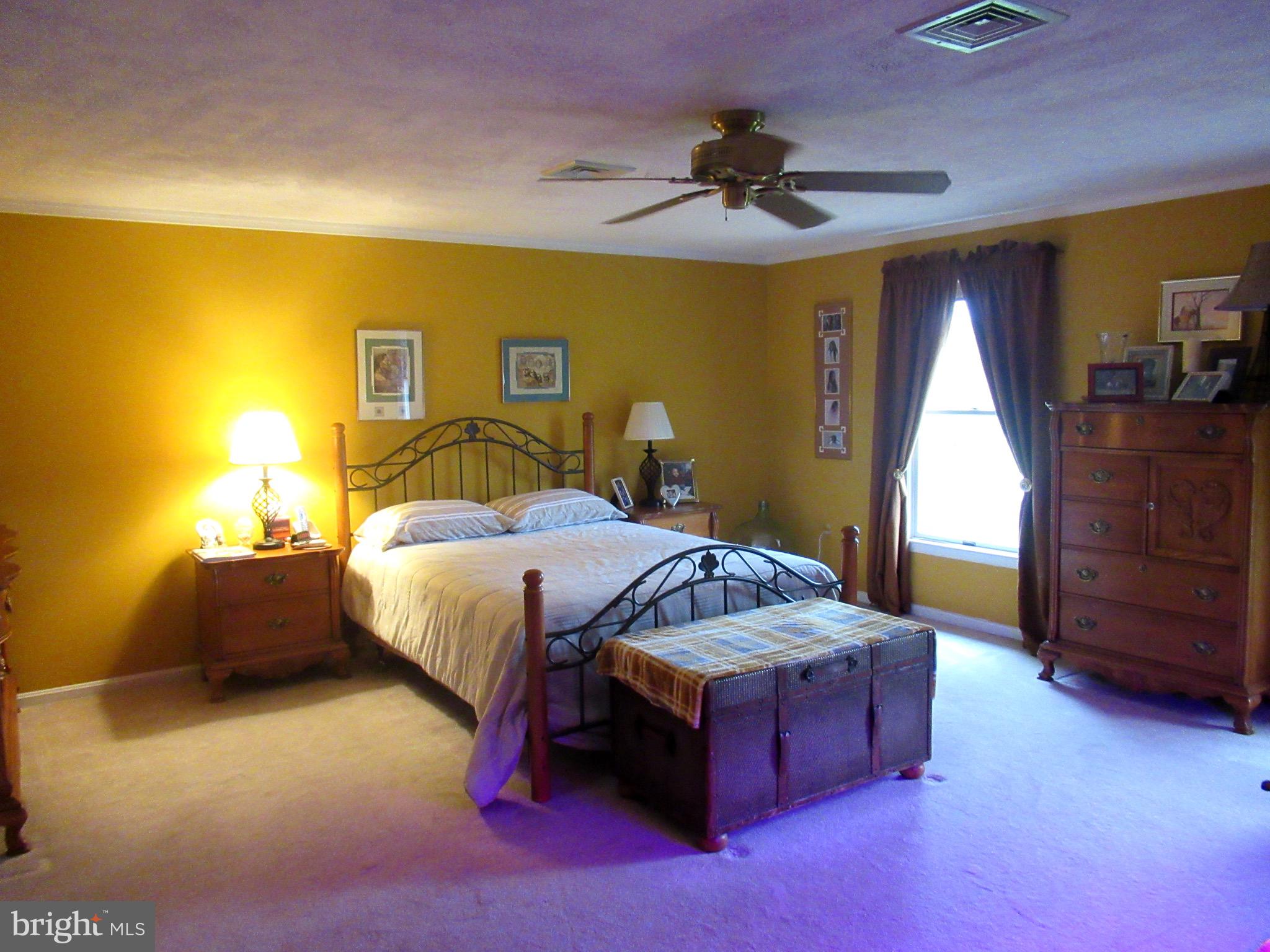10044 Wesley Chapel Road Marshall, VA 20115 - Photo 13 of 19 Master Bedroom