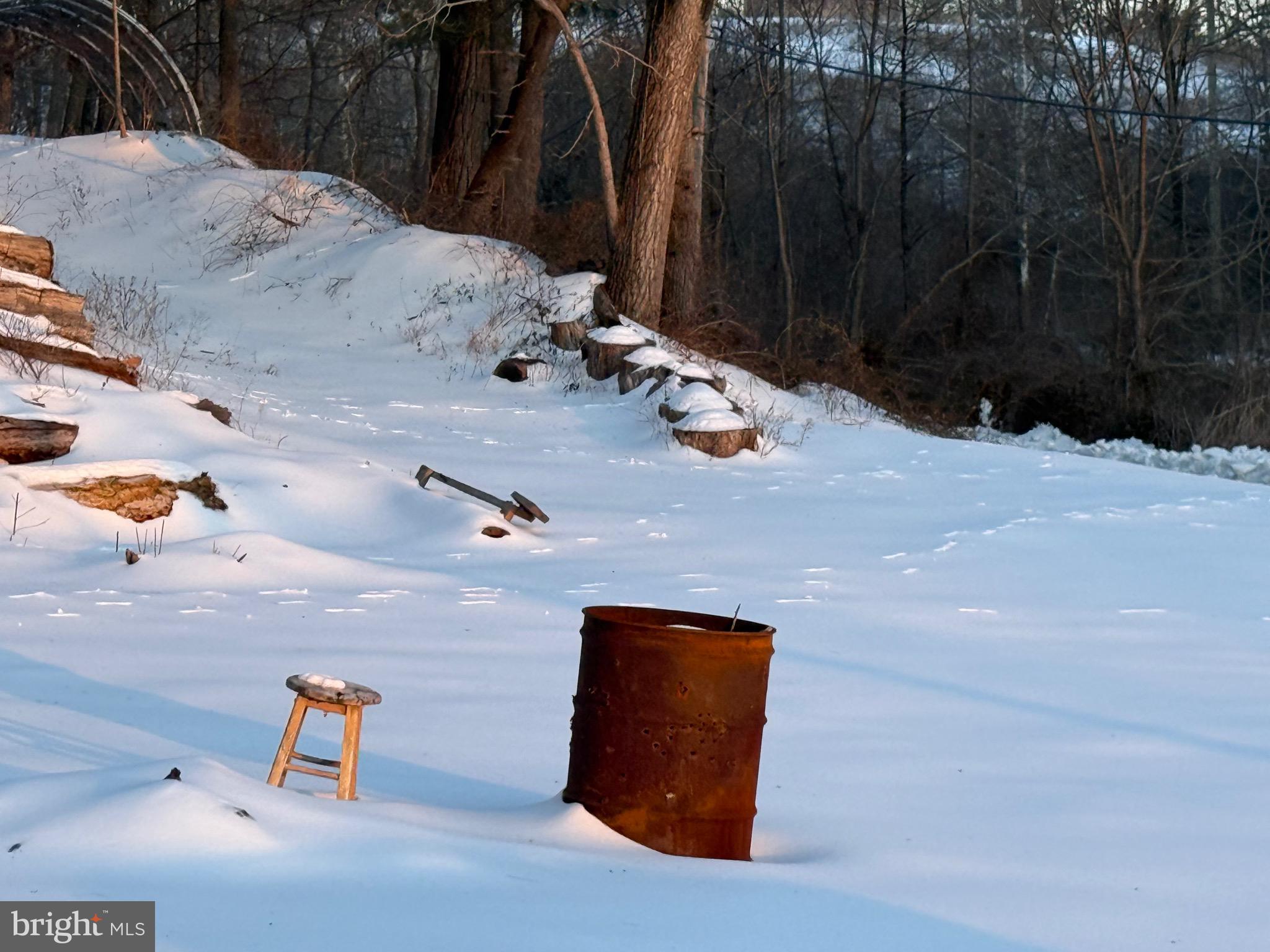 3210 Hoffman Mill Road Hampstead, MD 21074 - Photo 4 of 10 Deer tracks