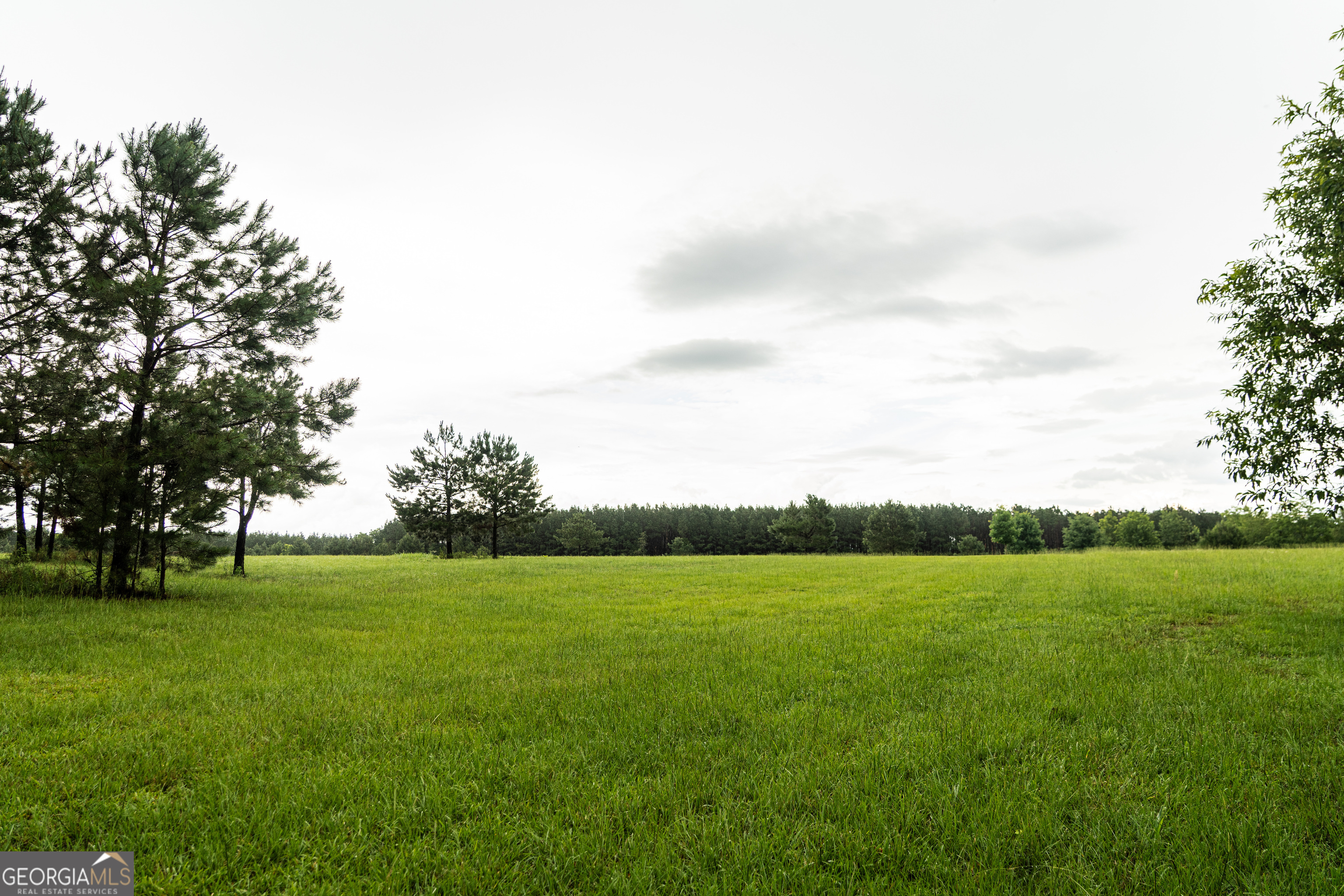 990 Highway 49 Americus, GA 31719 - Photo 81 of 121