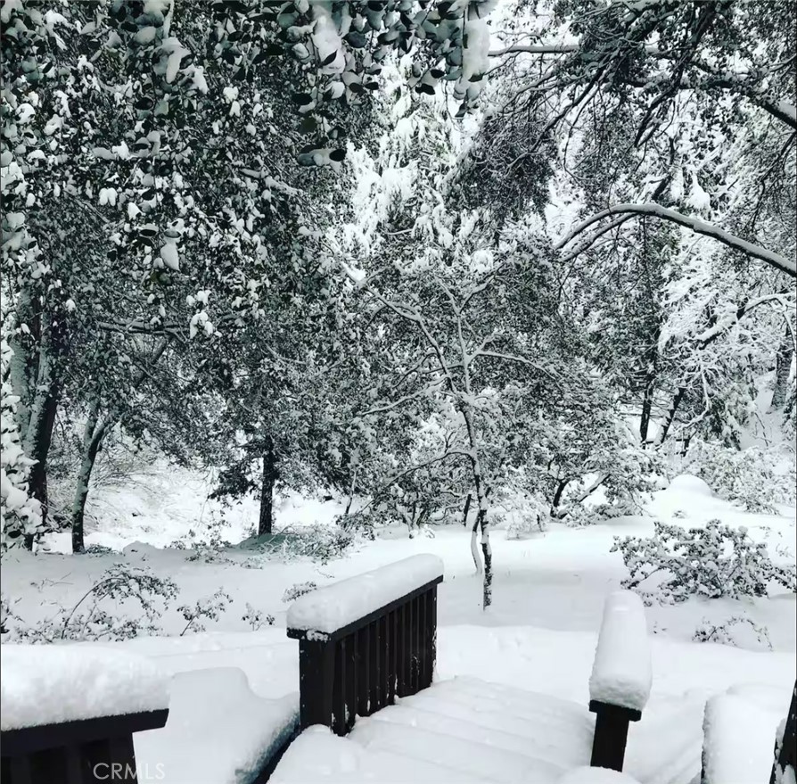 25370 Point Of Rocks Drive Idyllwild, CA 92549 - Photo 4 of 20