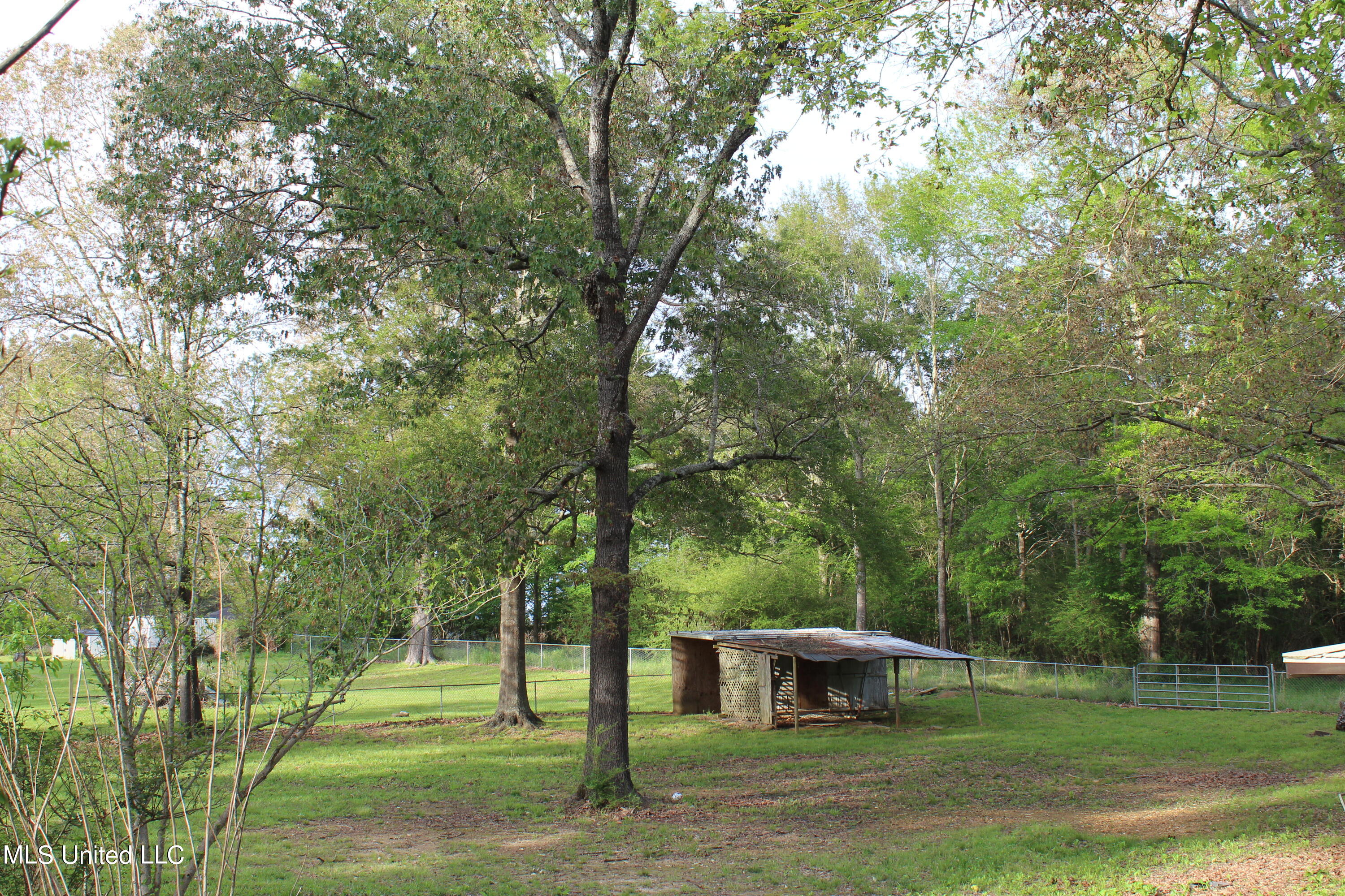 1945 East Ridge Road Byram, MS 39272 - Photo 8 of 31 IMG_2230