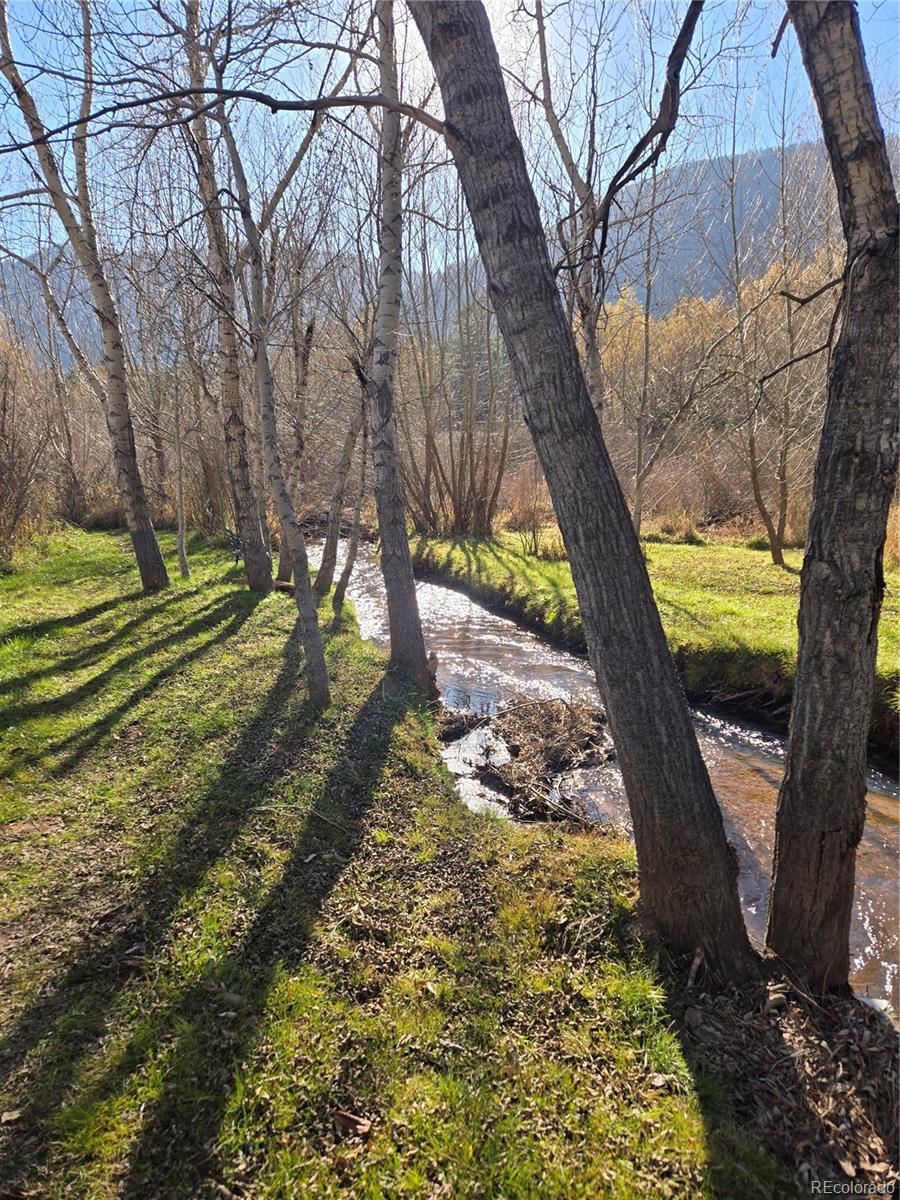 8225 Highway 24 Cascade, CO 80809 - Photo 46 of 49