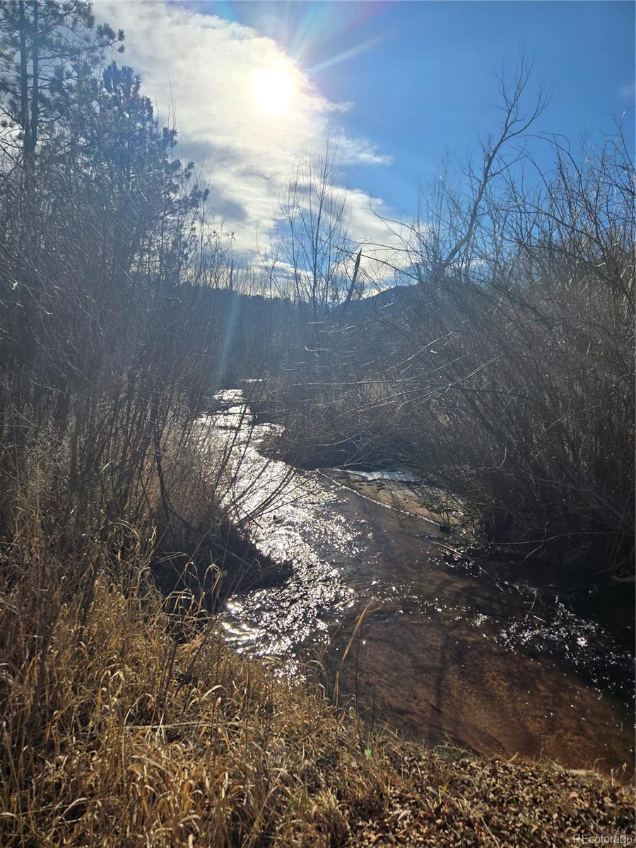 8225 Highway 24 Cascade, CO 80809 - Photo 47 of 49