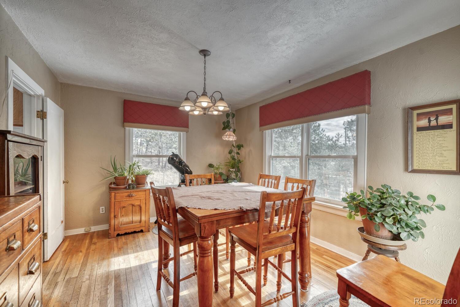 8225 Highway 24 Cascade, CO 80809 - Photo 8 of 49
