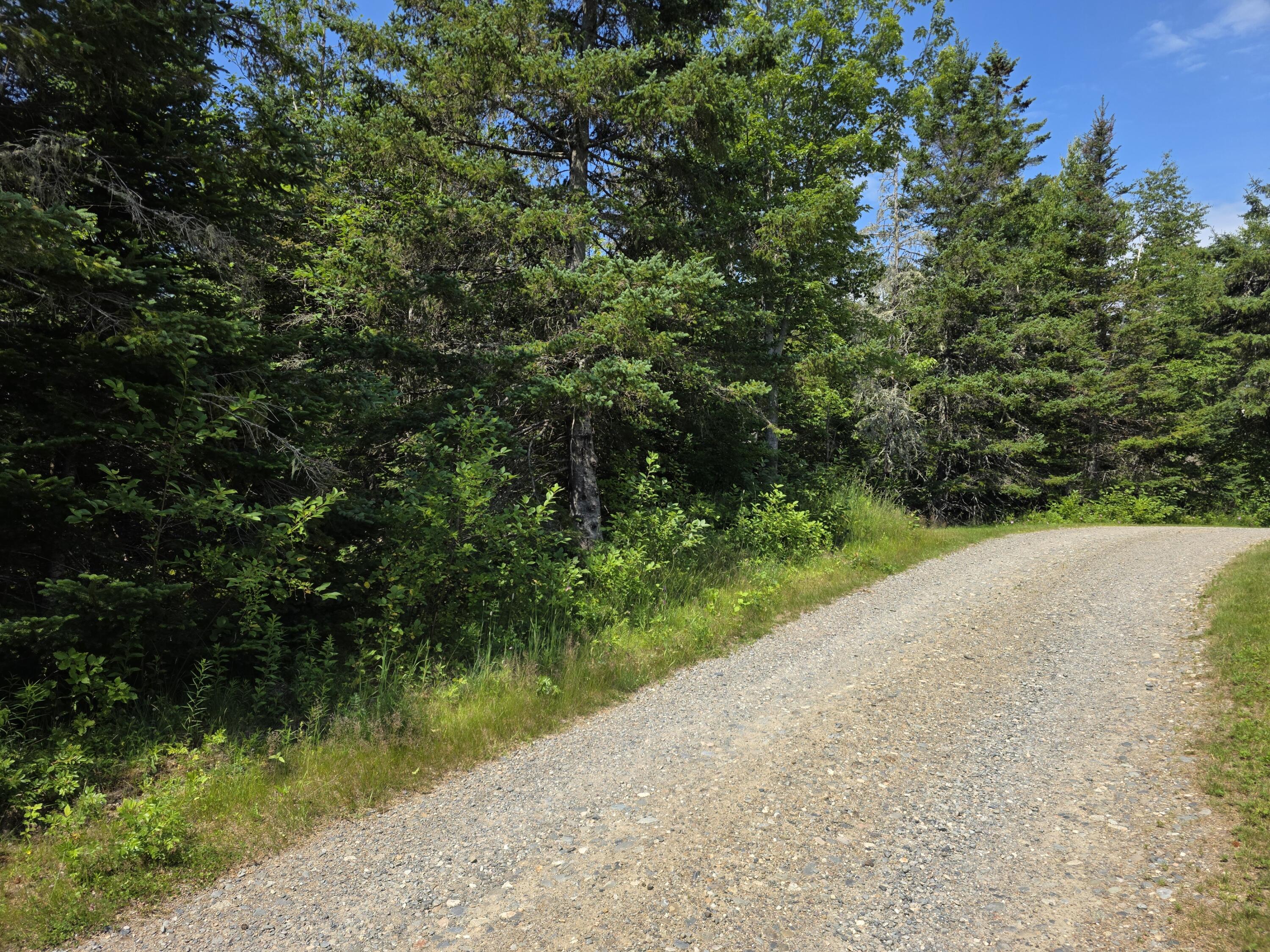 18 Leach Point Road Perry, ME 04667 - Photo 4 of 9 20260709_104244