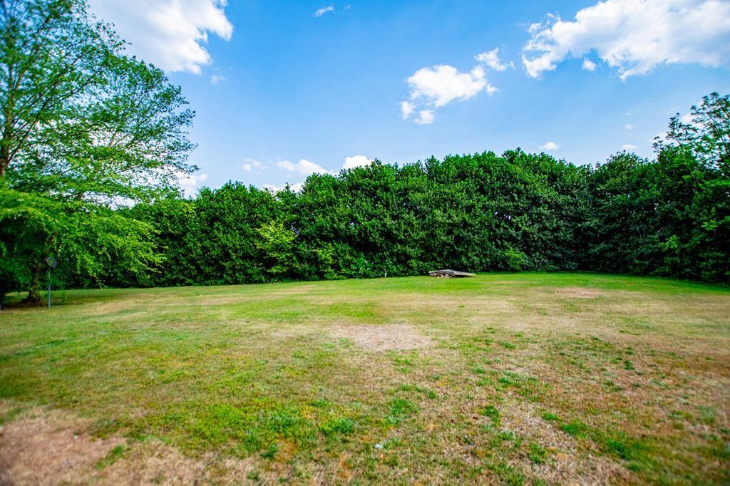 75 Cash Lane Bremen, GA 30110 - Photo 76 of 92 a view of a field of grass and trees