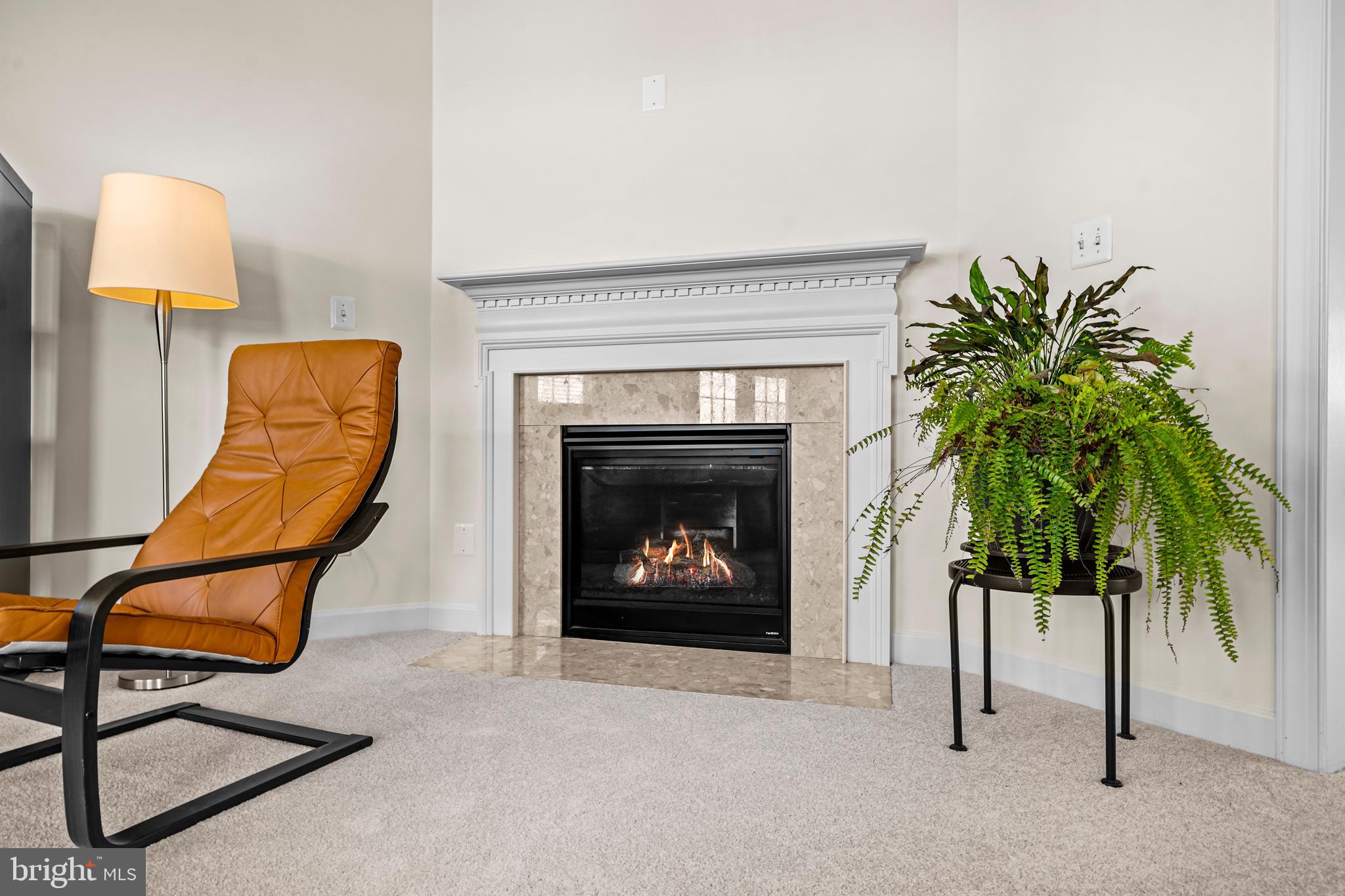 5725 Callcott Way, Unit P Alexandria, VA 22312 - Photo 21 of 40 a living room with furniture and a fireplace