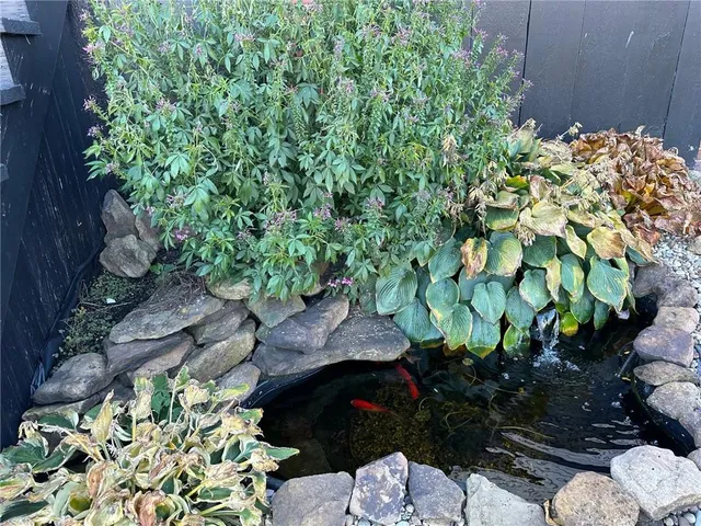 a backyard of a house with a lot of flowers