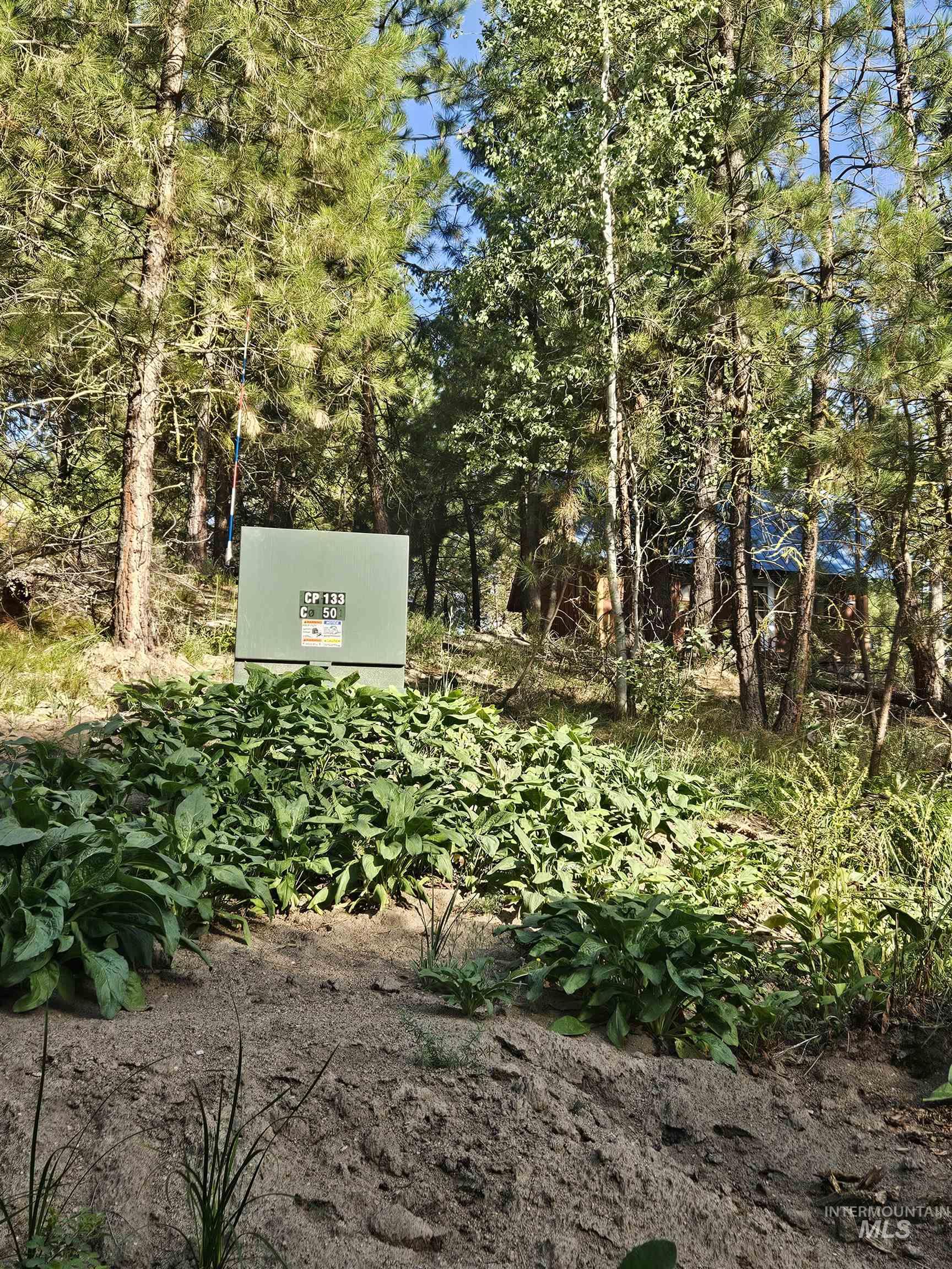 1510 Crown Point Parkway Cascade, ID 83611 - Photo 2 of 19 Exterior view of a pad mount transformer