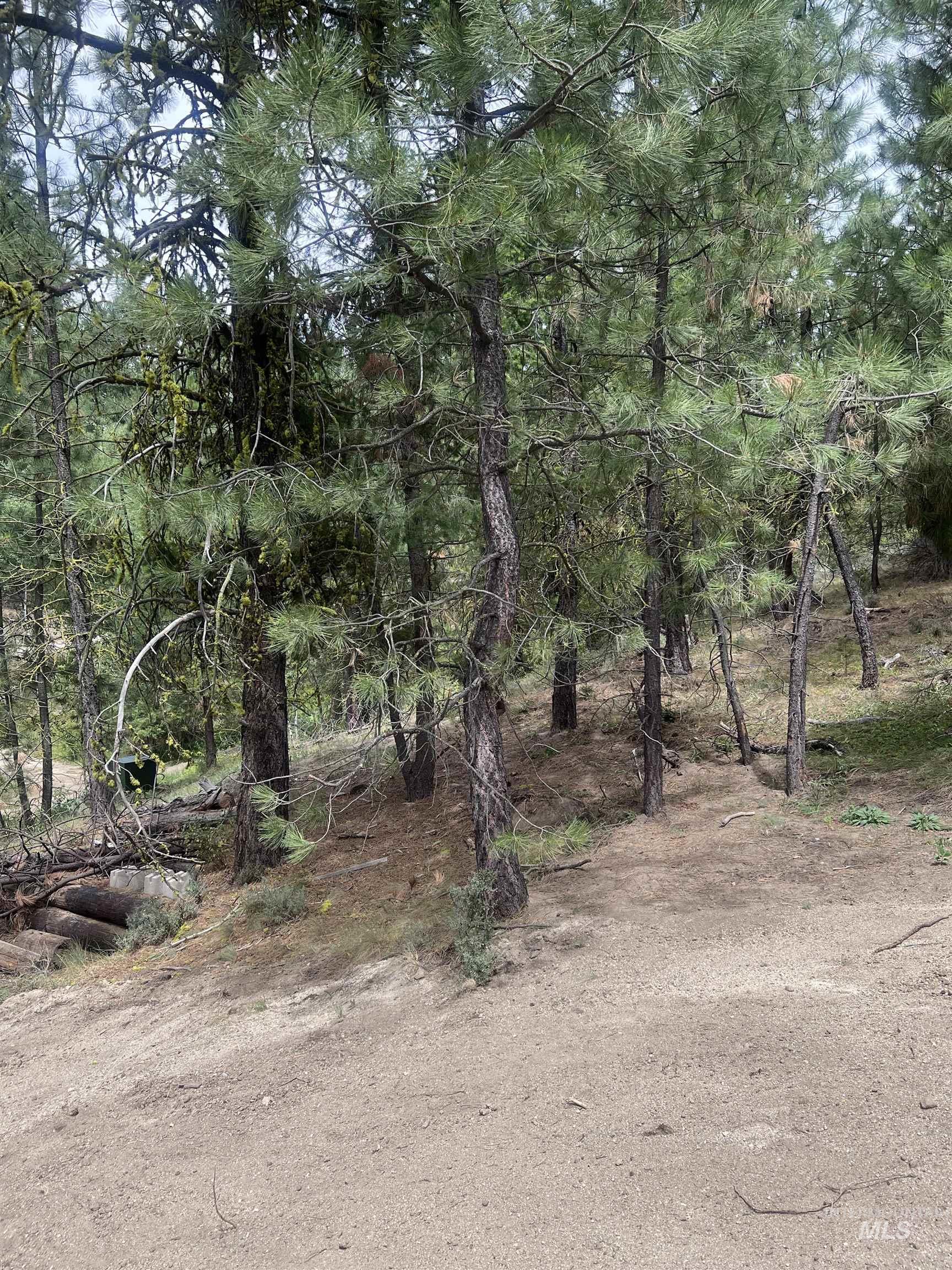 1510 Crown Point Parkway Cascade, ID 83611 - Photo 5 of 19 View of local wilderness