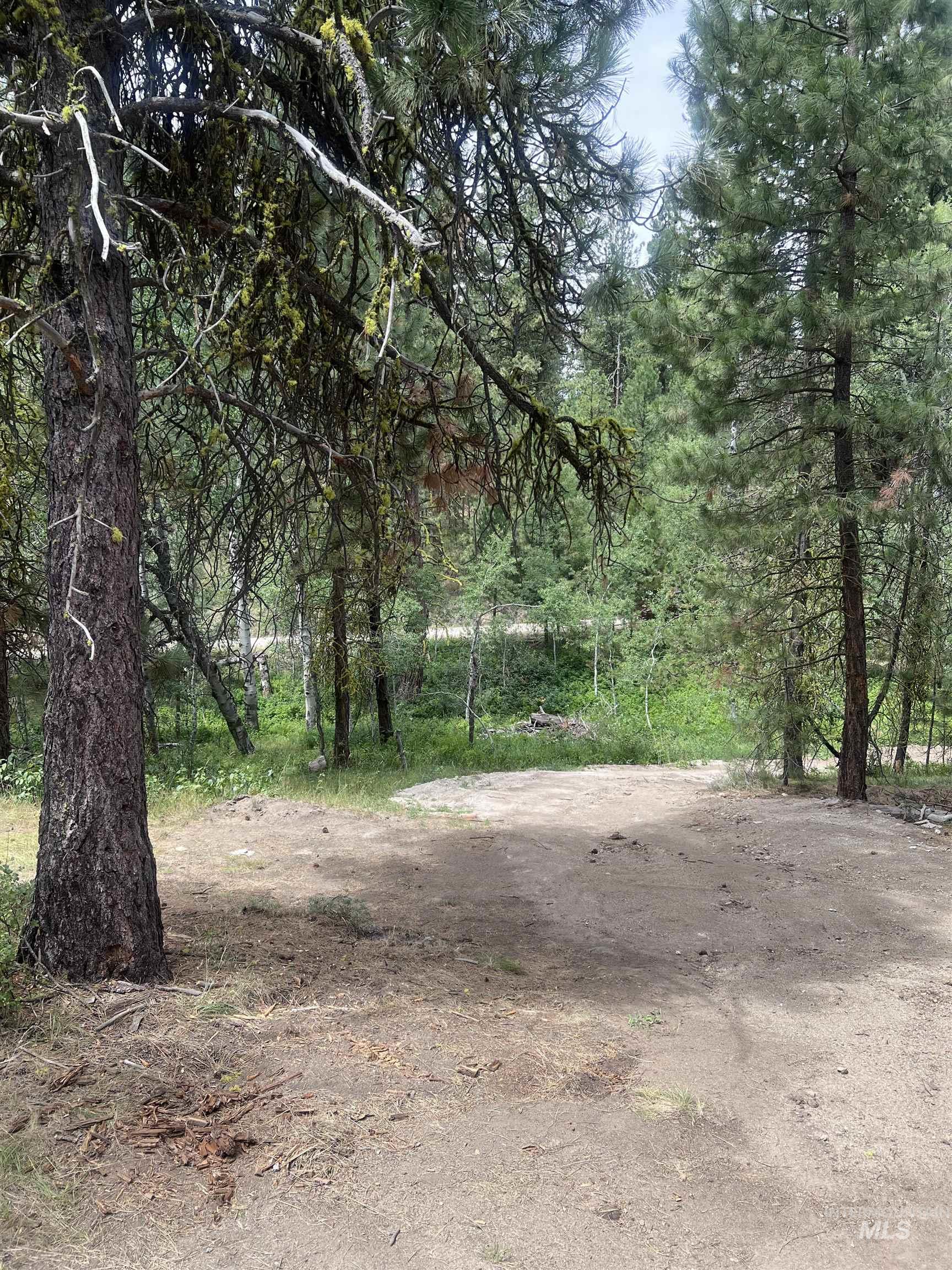 1510 Crown Point Parkway Cascade, ID 83611 - Photo 6 of 19 View of road