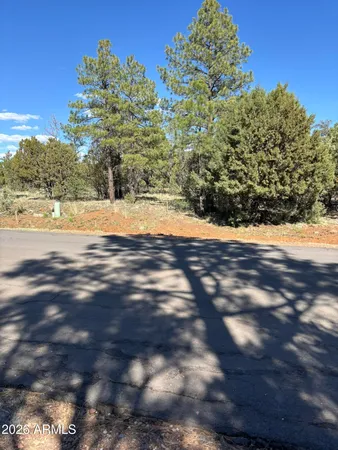 a view of a lake with a yard