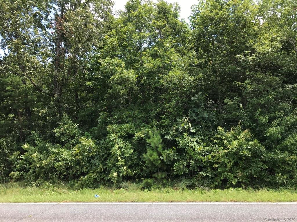 a view of a yard
