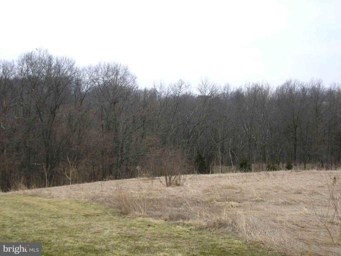 Bullitt Road Greencastle, PA 17225 - Photo 4 of 4 Wooded View / Acreage 2