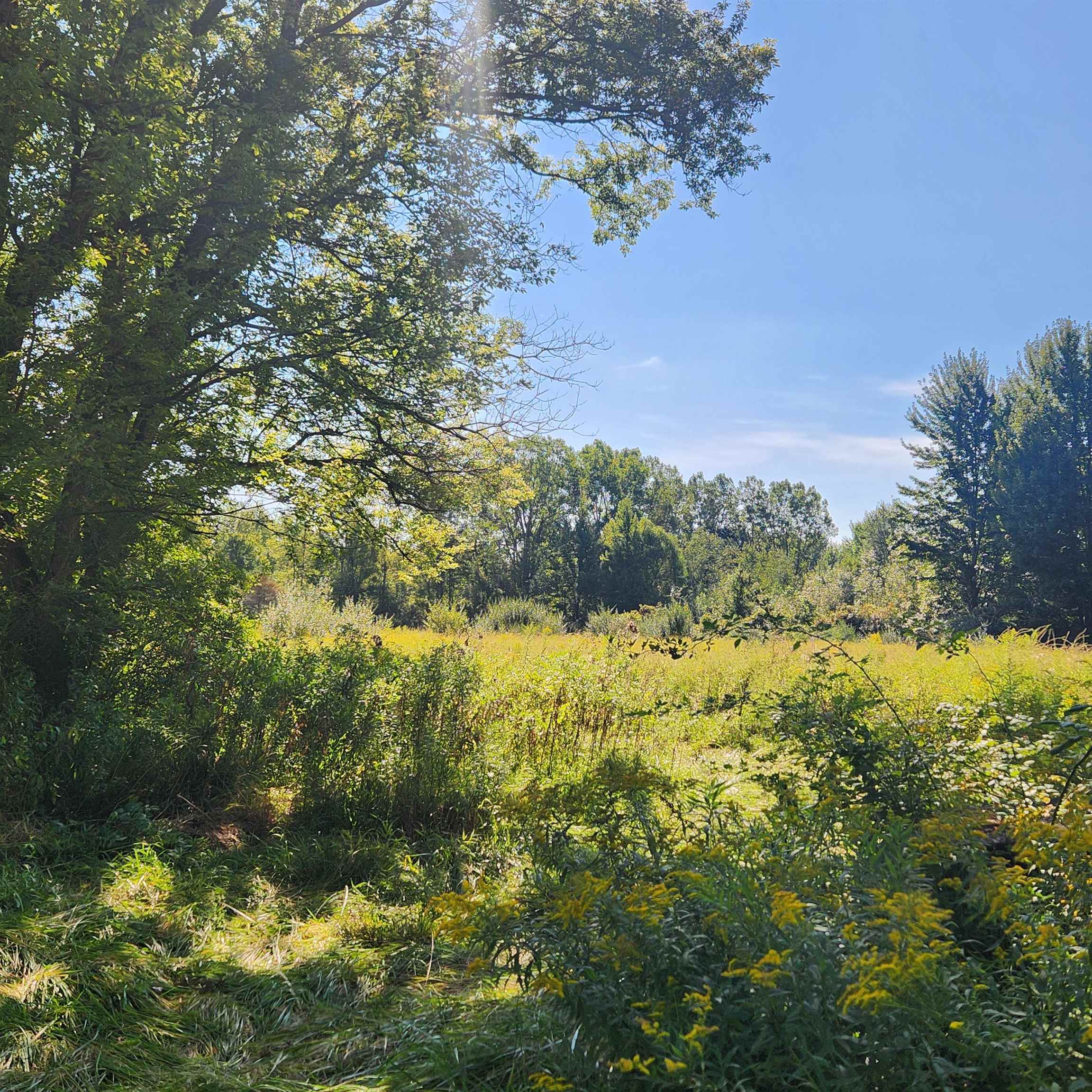 58450 Place Road New Haven, MI 48048 - Photo 8 of 11 50187334-6d810a49-c81d-4d1c-a8f5-803efc39e12b.JPG