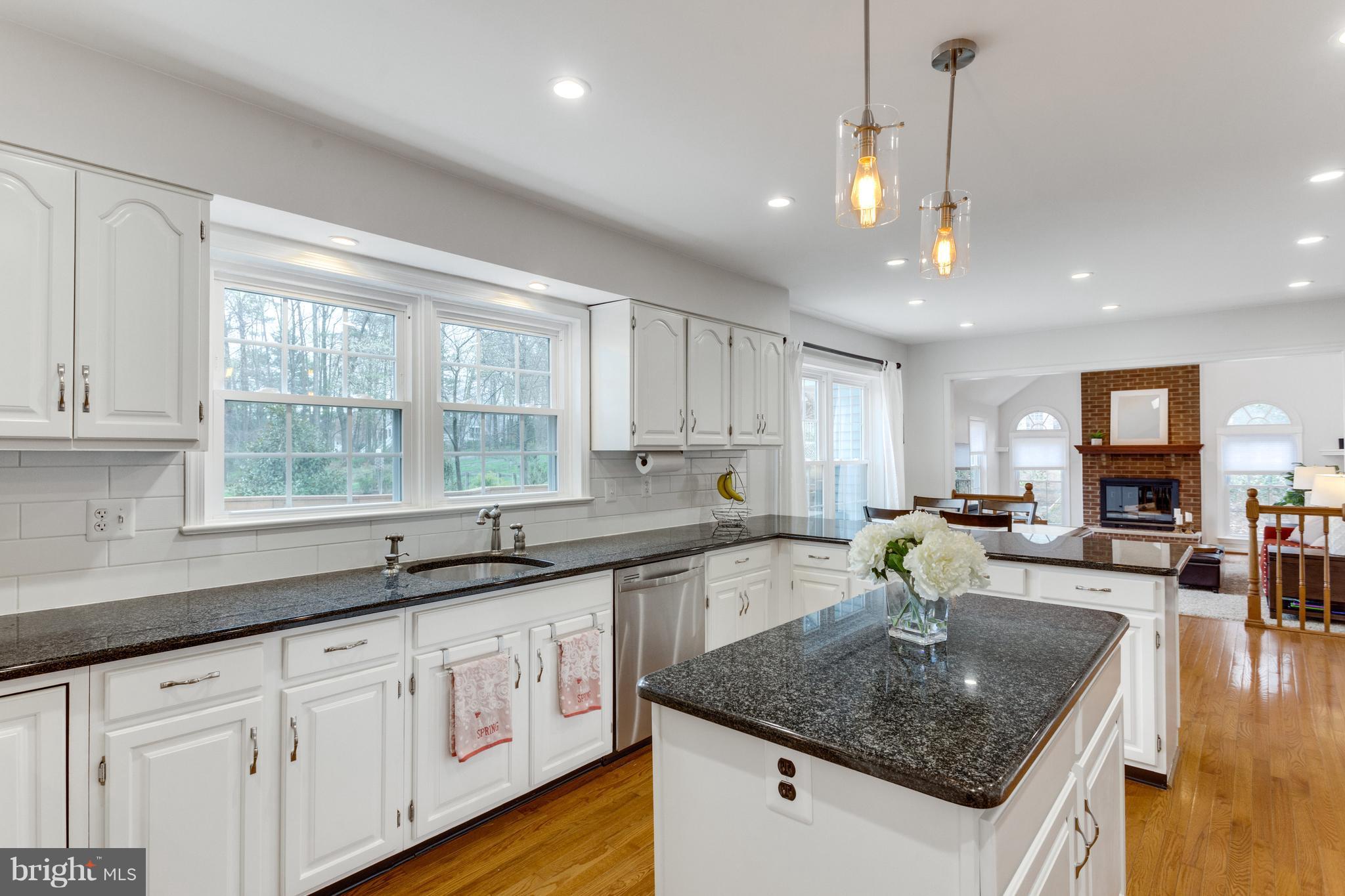 1509 Elk Point Drive Reston, VA 20194 - Photo 8 of 30 Enormous Kitchen - Great for Entertaining!