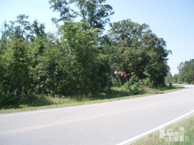 1101 Braxton Edge Road Garland, NC 28441 - Photo 1 of 13 Primary Photo