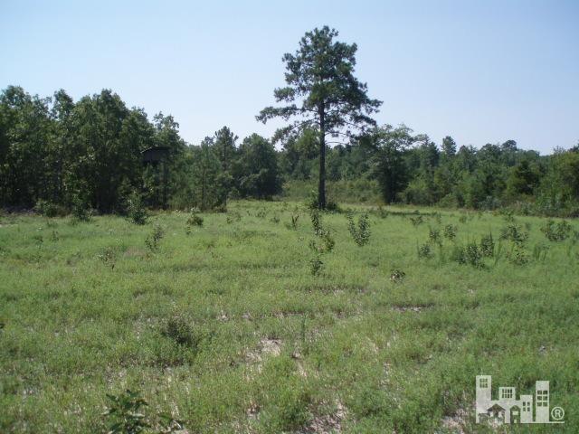 1101 Braxton Edge Road Garland, NC 28441 - Photo 4 of 13 Additional Photo